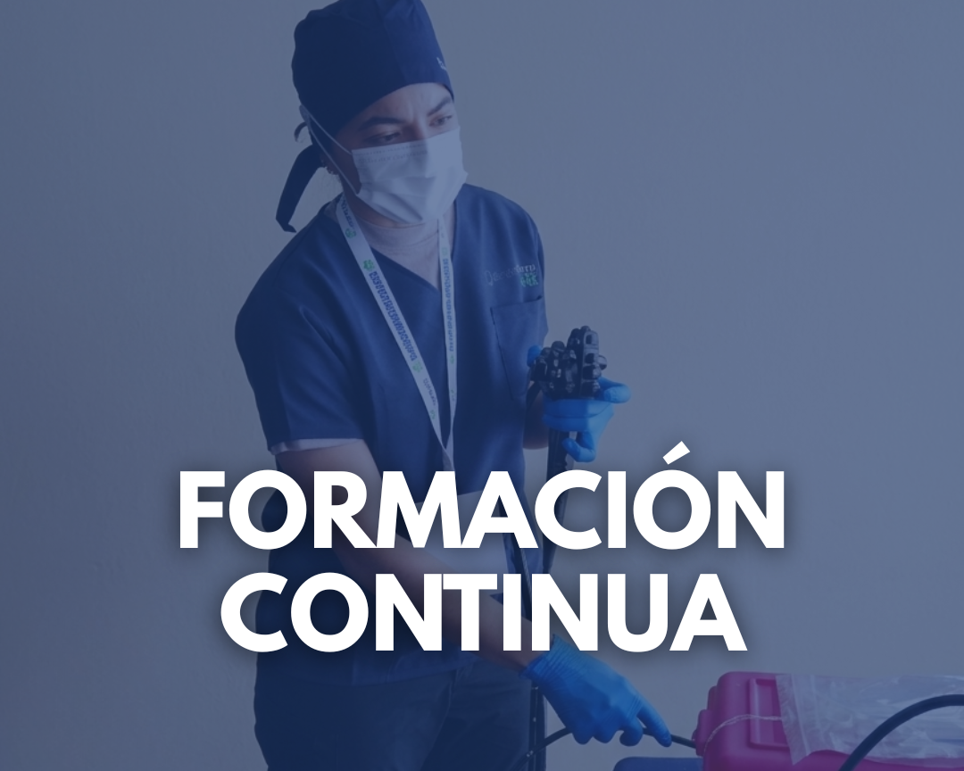 curso de introduccion a la endoscopia flexible en perros y gatos