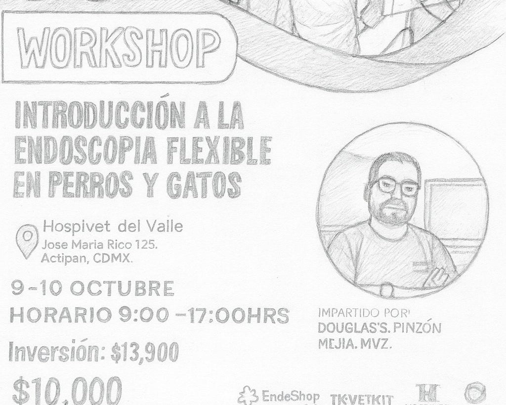 curso de introduccion a la endoscopia flexible en perros y gatos