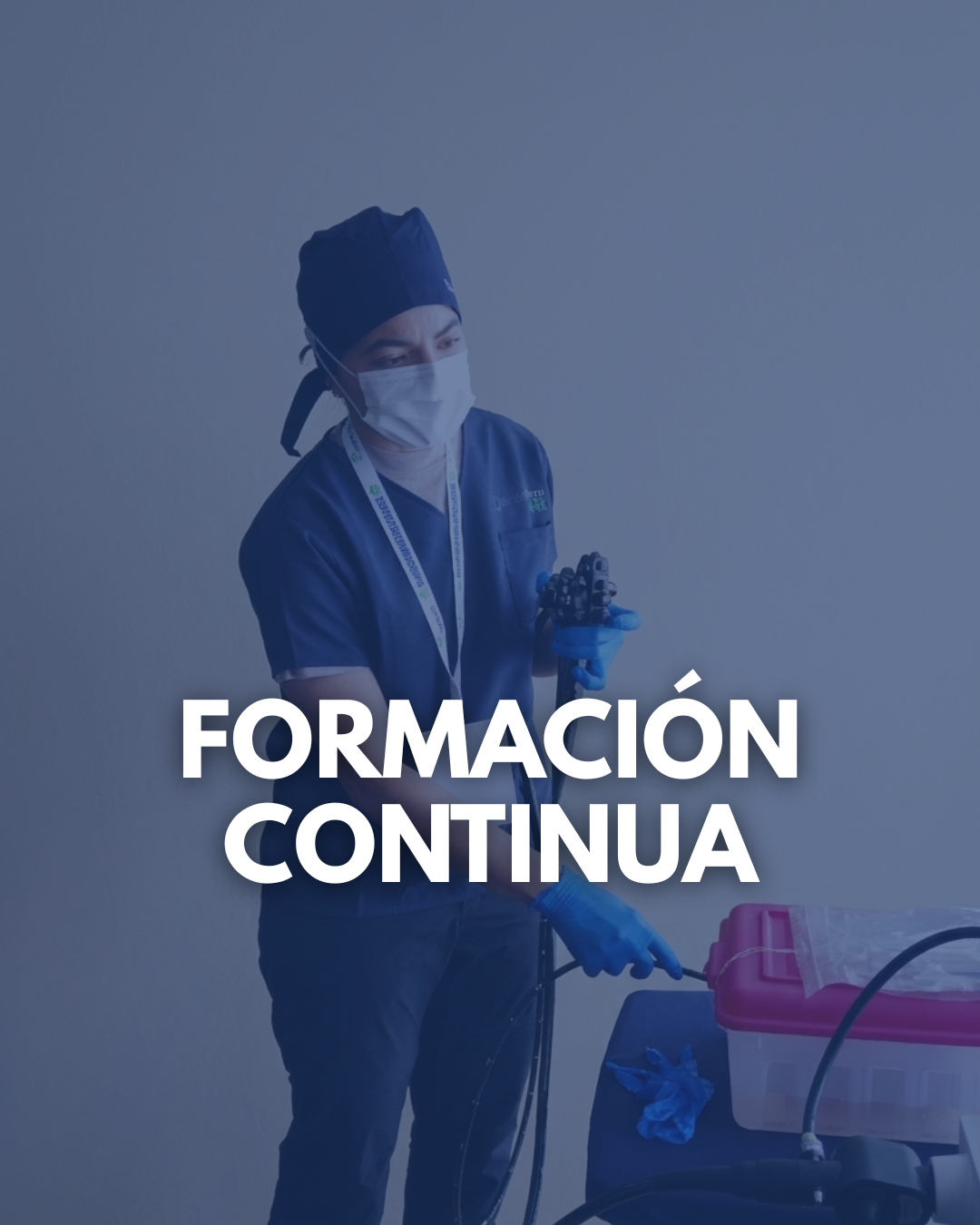 curso de introduccion a la endoscopia flexible en perros y gatos